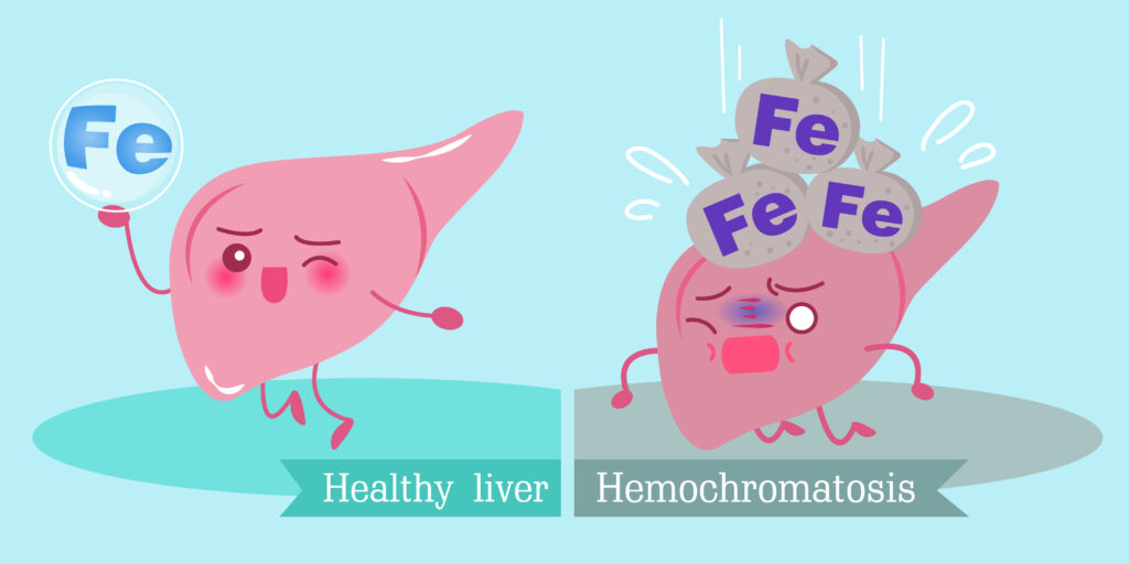 A cartoon of two different types of liver.